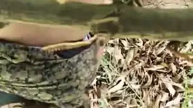 Big ass bhabhi fucking outdoor by her nephew hard in doggy style