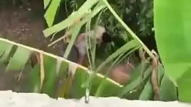 Desi XXX mms video, Horny Mallu couple was caught fucking outdoor in bushes