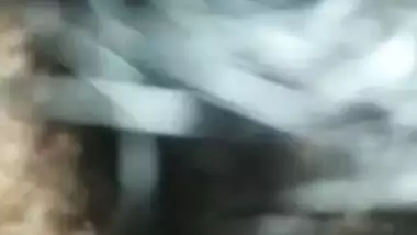 Sweet XXX blowjob is what Desi wife pleases husband with in MMS clip