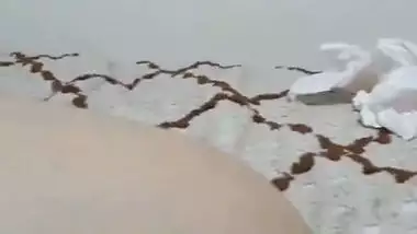 Bangladeshi chuda chudi of a busty Dhaka whore