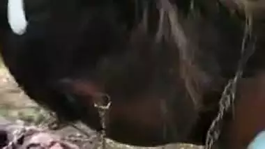 Desi XXX village girl with skinny body agrees to have sex outdoors